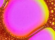 How to Fall in Love with Soft Matter Physics (and Still Respect Hard Stuff)