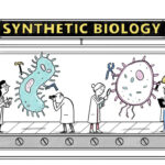 What Is Synthetic Biology—and Why Is It Reshaping Science?