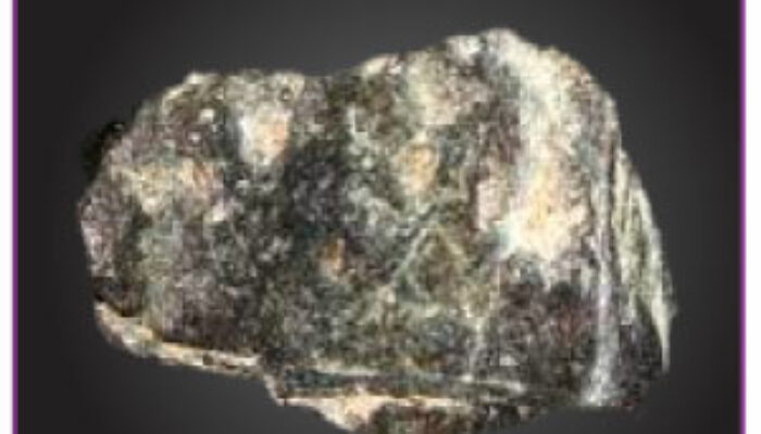 The Thorium Dream: Fuelling the Future