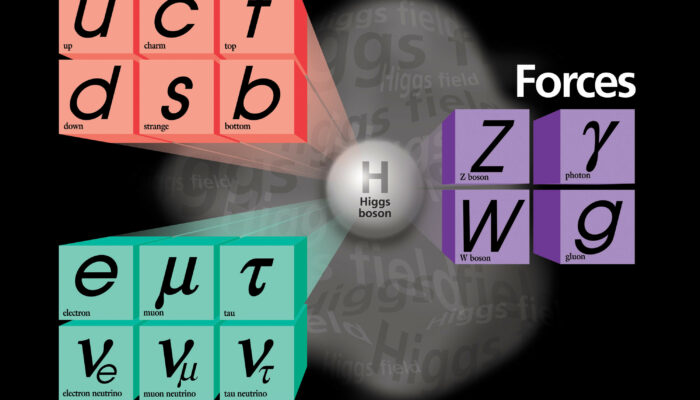 What is the quantum particle? Is it like a quark?