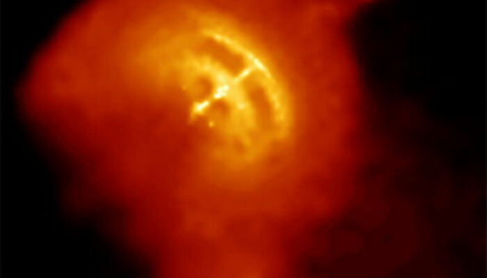 Pulsars as Giant Neutromagnets: A Galactic Magnetic Marvel