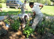 Is environmental engineering a good stream to pursue?