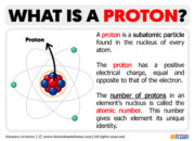How are a proton and a neutron almost the same?