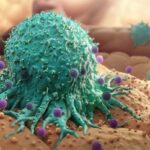 Cancer’s Hidden Geometry: Fractal Patterns on Cells