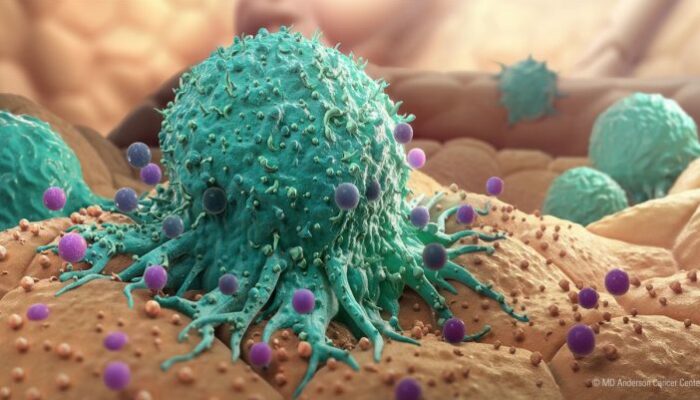 Cancer’s Hidden Geometry: Fractal Patterns on Cells