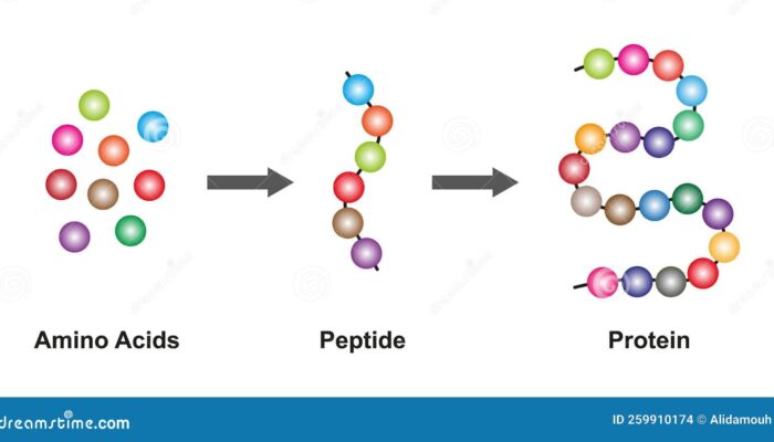 When Amino Acids Meet Electronics: A Molecular Interface