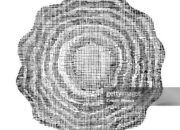 The First Observation of Otherworldly “Hot Ice”