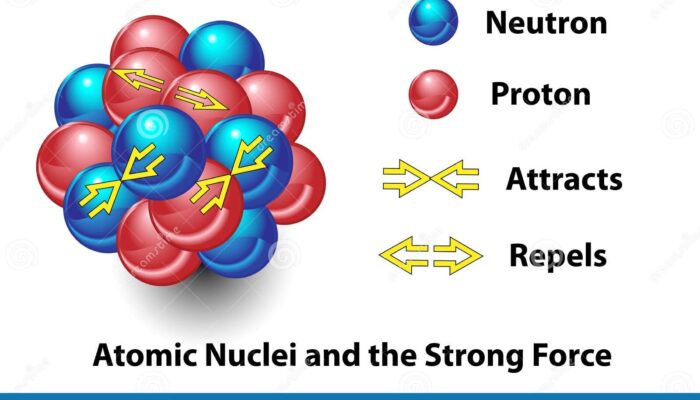 What is the strong force in an atom?