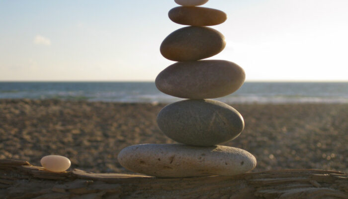 How to balance my learning between QA and ML?