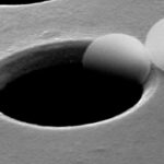 Revealing DNA with Electrons – No Damage Just Detail