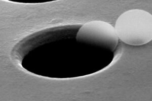 Revealing DNA with Electrons – No Damage Just Detail