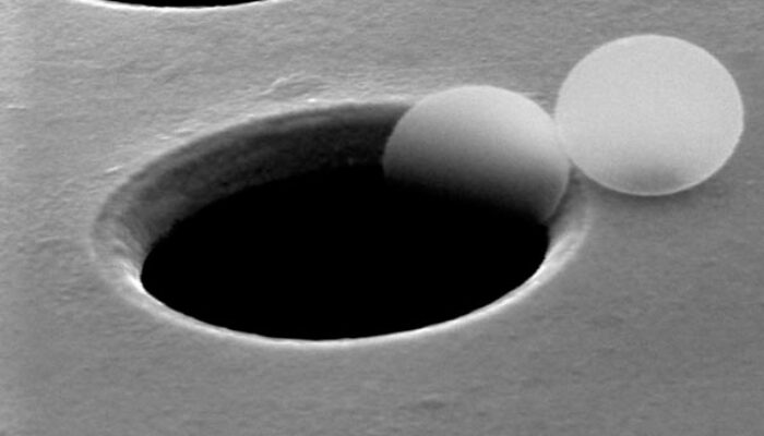 Revealing DNA with Electrons – No Damage Just Detail