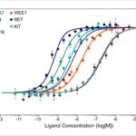 Protein Folding: Biophysics or Biochemistry? Or Both?