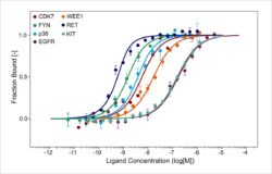 Protein Folding: Biophysics or Biochemistry? Or Both?