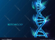 Biotechnology and Bioengineering: Decoding the Biosystems Puzzle