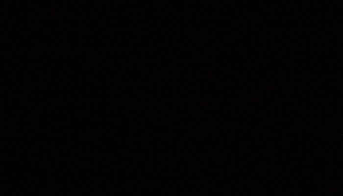 Black Hole Analogue Acts Like a Laser: Light Gravity and Quantum Convergence