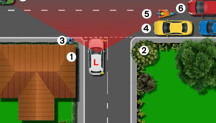 Unlocking the Code: Single-Molecule Junctions Explained