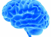 Brain Drains & Global Gains: The Tug of War for Scientific Talent