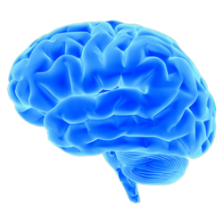 Brain Drains & Global Gains: The Tug of War for Scientific Talent