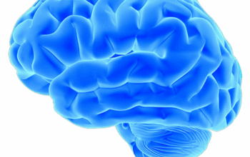 Brain Drains & Global Gains: The Tug of War for Scientific Talent