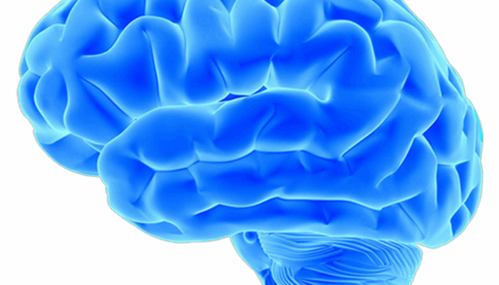 The Brain Drain: Is This the First Evidence?
