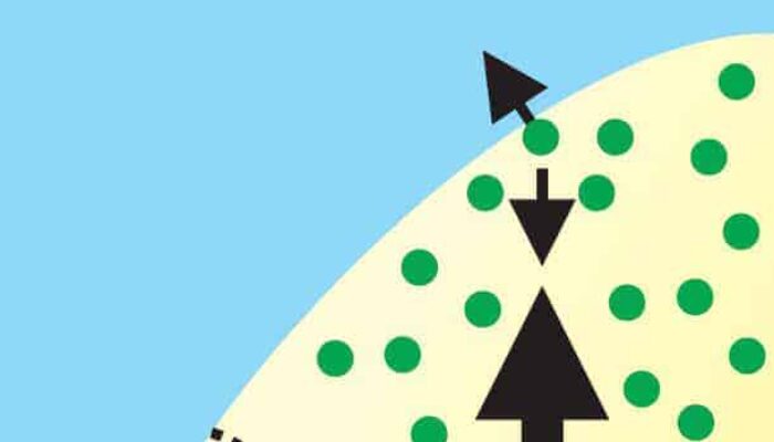 Nanobubbles Stick Around Thanks to Flowing Gas