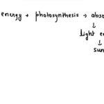 What happens to the particles when they absorb energy?