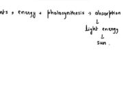 What happens to the particles when they absorb energy?