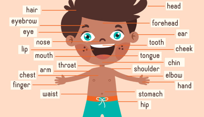 Body Physics: Can We Decode the Language of Movement?