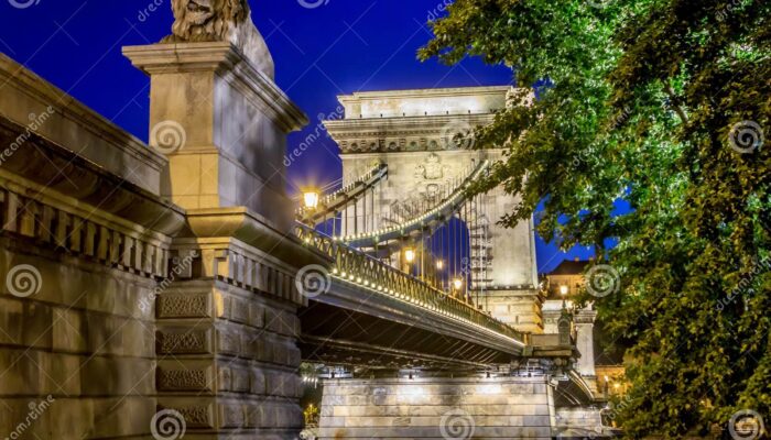 Entanglement Over Water: Quantum Bridge Across the Danube