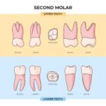 What is the molar mass of O2? Is it 15.9994 or double that?