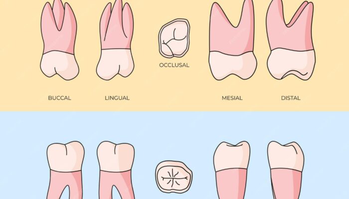 What is the molar mass of dinitrogen in g/mol?