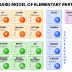 How were the 12 fundamental particles originally identified?