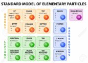 How were the 12 fundamental particles originally identified?