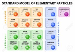 How were the 12 fundamental particles originally identified?