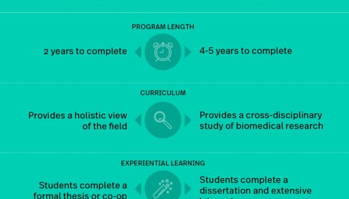 Should I Pursue an MS or PhD in Biomedical Engineering?
