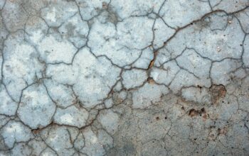 Detecting DNA Just Got Simpler: A Biophysical Breakthrough