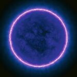 Dark Matter and the Birth of Strange Stars