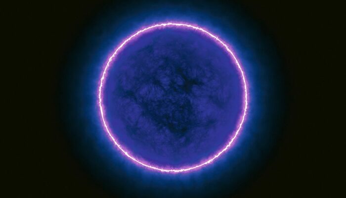 Dark Matter and the Birth of Strange Stars