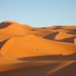 Desert Mechanics: Physics of Sand Sun and Survival