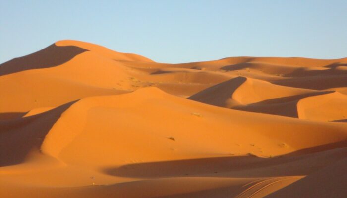 Desert Mechanics: Physics of Sand Sun and Survival
