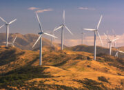 Is environmental science a really unnecessary discipline?