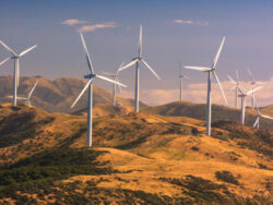 Is environmental science a really unnecessary discipline?