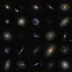 The Cold Dark Matter Debate: A Galaxy Survey Casts Doubt