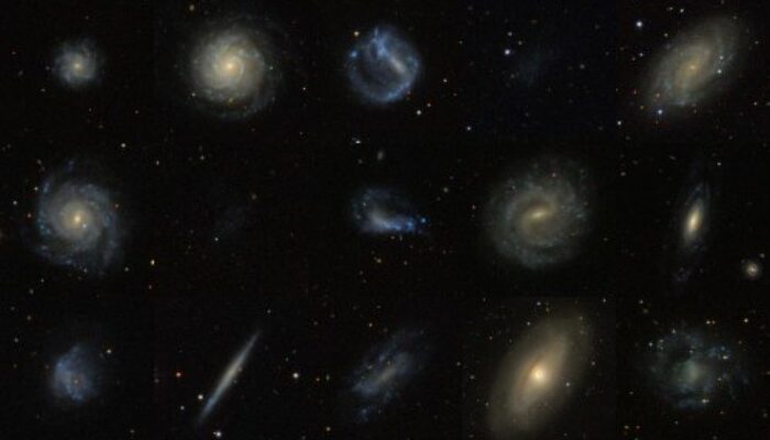 The Cold Dark Matter Debate: A Galaxy Survey Casts Doubt