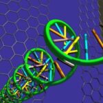 Graphene to Accelerate Genomics