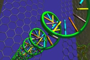 Graphene to Accelerate Genomics