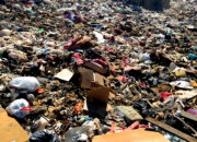 Waste Matters: Turning Scientific Trash into Treasure