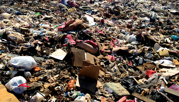 Waste Matters: Turning Scientific Trash into Treasure