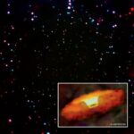 Early Supermassive Black Holes May Have Grown Solo